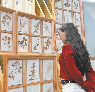 οB|@^^ֲ˱ ӛ  Az