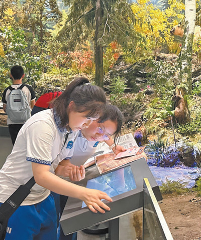 ɶW^ЌWӬF ӛ  xz