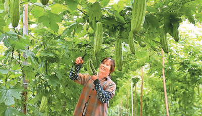 ڏV΅^кֿh悗ɽ߲˷Nֲrڲժ   ֆzҕX