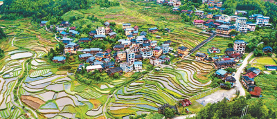 RСMV΅^ˮοhĘslС|կﾰɫ   ǔzҕX