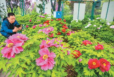 2024410ںʡЇHĵ@Nοʢ_ġ̫ĵ[lzDƬ