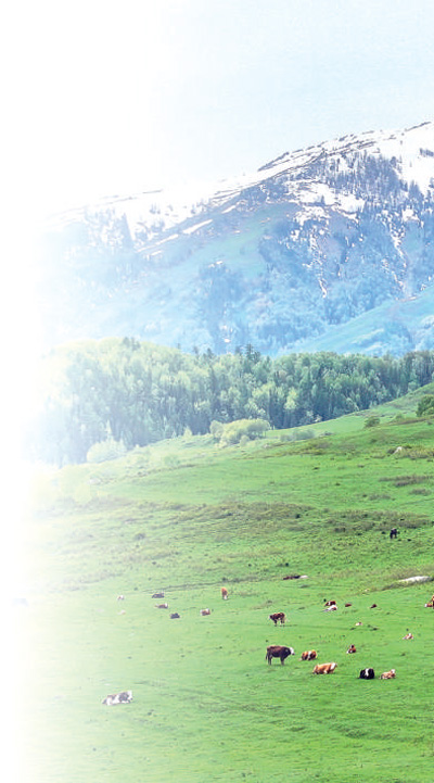 ½̩؅^hɫ箋zӰЇ