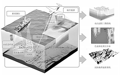水下三維動力場/生物場/地形透視觀測 圖片由作者提供