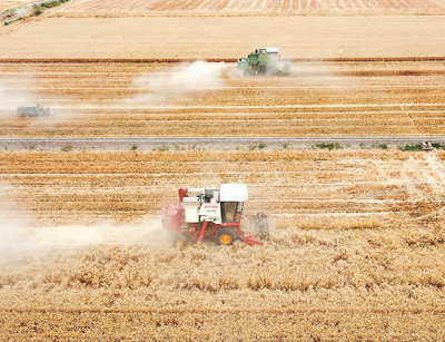 âNڼںʡОeӻ^R悵Ȫr{rCոС SzҕX