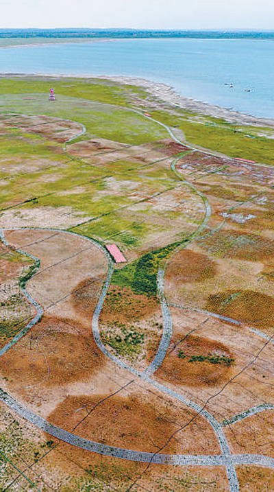 tAׇҼȻo^ȌʩĺI˻ԭޏĿ   ψDƬAӛz