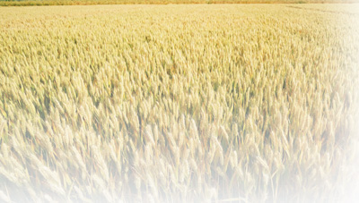 ЇrIƌWԺƌWоĺlԇСSƯһSվ