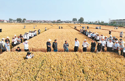 524ЇrIƌWԺƌWоĺlԇԺУNIINλF^ĦСݡhs߮aaƷϵN   ψDƬЇrIƌWԺƌWоṩ