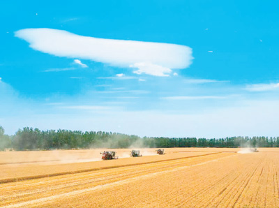  ʡƽhfߘ˜լFlz