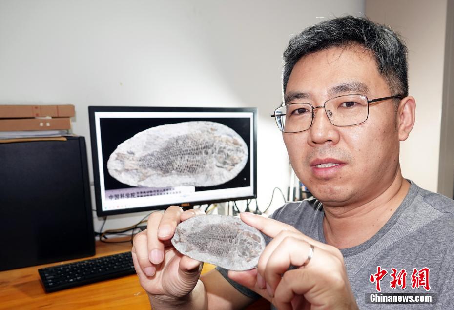 623xоTչʾ˴оlFľs2.49|ġB~ʯģʽ˱BPоɹ¾Wӛ OԷ z