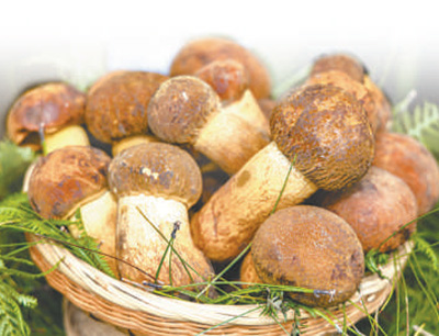 ţξ   DƬ쿡zҕX