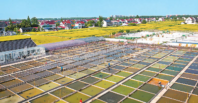 KʡЖ|悜녢c~aIN^p~_2000fβaƷhNӢȵDλڜһ^p~Bֳ ۔zҕX