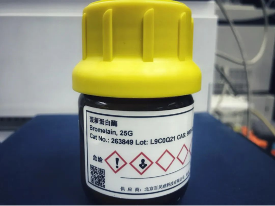 實驗室中的菠蘿蛋白酶(來源:作者拍攝)