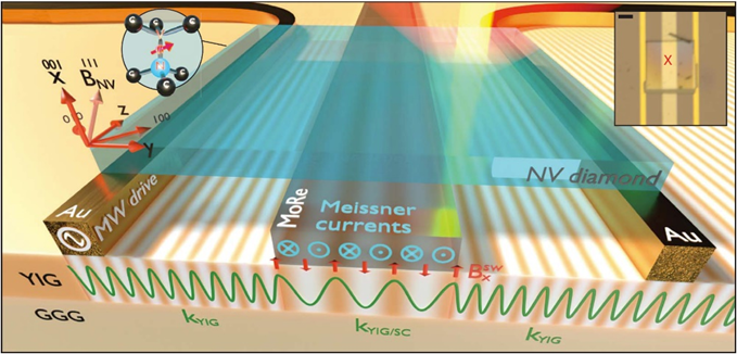 實驗方案示意圖