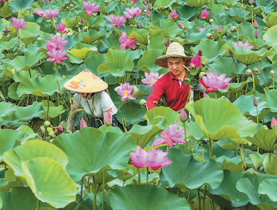 RλڽKʡɽаͳxЙCNֲصɏӭժشæժДzҕX