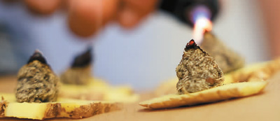 쵽ɽ|ʡfһtT\tˆTڞġίOІzҕX