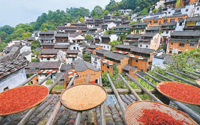 ʡԴhXڻľtrԭBȻLcͬһSծ캣izҕXYψDƬ