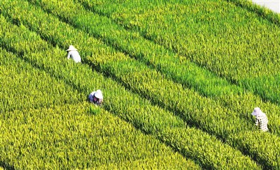   ¶⌢ڽKʡºӵ؅^rץrreO_չgrIg^һɷæ   ϵzҕX