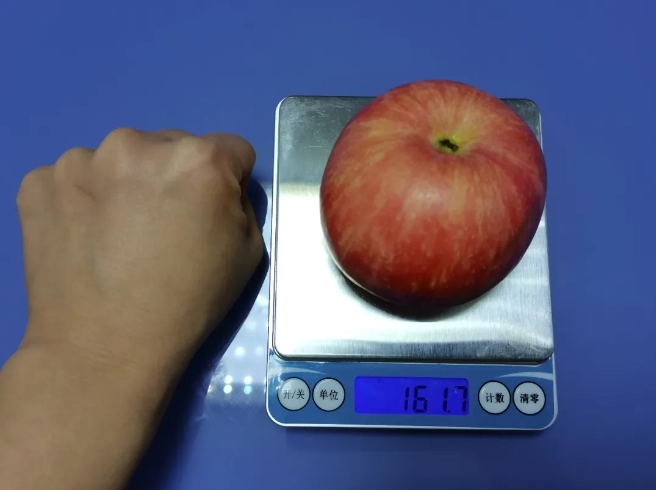 圖:女士 1 拳頭約 160 克