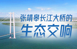綠意盎然，張靖皋長江大橋的生態交響張靖皋長江大橋A2標段坐落在民主沙島上，大橋上下游是生態保護區。如何減少大橋建設對生態環境的影響？