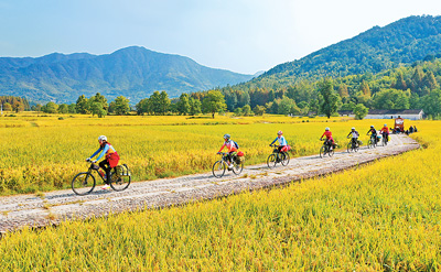 騎行愛好者在安徽省黃山市黟縣塔川國家森林公園的田間道路上騎行，欣賞鄉村美景。 許家棟攝（人民圖片）