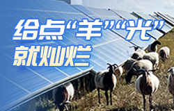 “戈壁”如何變成“綠洲”？塔拉灘光伏園區的建設帶來了哪些變化？跟著“光伏羊”一起來了解！