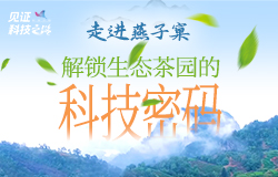 走進燕子窠，解鎖生態茶園的科技密碼近日，記者來到福建省南平市星村鎮燕子窠生態茶園，探尋茶園背后那些動人的科學故事和生態奇緣。