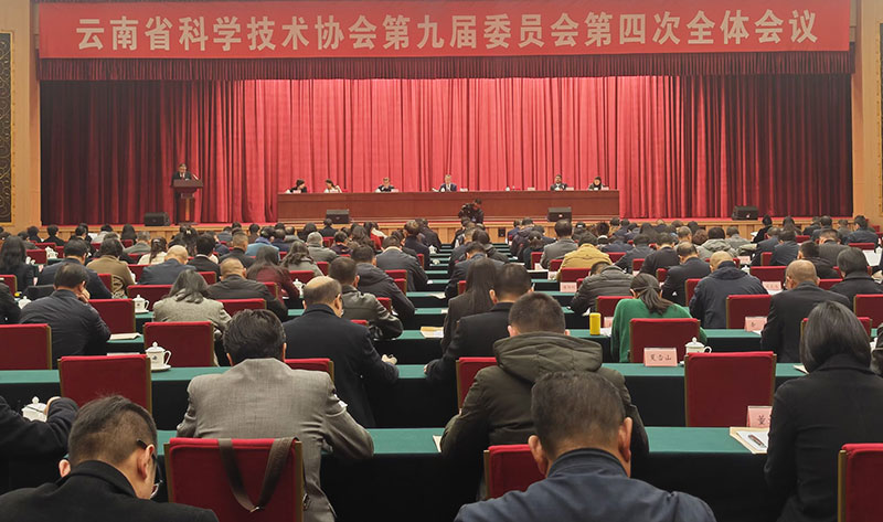 會議現場。云南省科協供圖