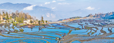 哈尼梯田風光。 陳先林攝（影像中國）