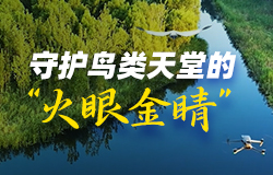 守護鳥類天堂的“火眼金睛” 立足白洋淀生態保護，雄安新區加碼科技手段建立鳥類保護中心，以科技為“翼”，為“鳥類天堂”在線助力。
