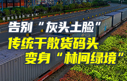 傳統干散貨碼頭變身“林間綠境”面對散貨作業中難以避免的粉塵污染問題，日照港沒有止步于傳統的苫蓋物料和噴淋增濕等常規手段，而是開發出了全新的抑塵技術。