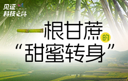 一根甘蔗的“甜蜜轉身”走進廣西來賓，探尋一根甘蔗如何在科技助力下實現“甜蜜轉身”，撬起萬家的甜蜜生活。