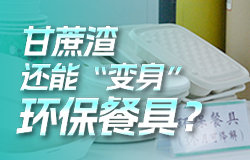 甘蔗渣還能“變身”環保餐具？在廣西來賓，甘蔗渣都成了“香餑餑”，利用率達到100%。