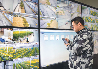 技術人員在智慧農業園數字化工廠通過遠程智能溫室控制系統調控各項數據。