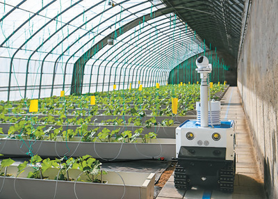 3月21日，無人巡檢機器人在天津一家智慧農業園區內巡控。新華社記者 孫凡越攝