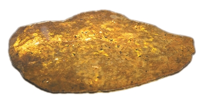 月球隕石。   攝影：康 毅 張 宇