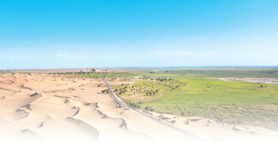 圖為新疆維吾爾自治區和田地區民豐縣鎖邊林草帶。阿力木江攝