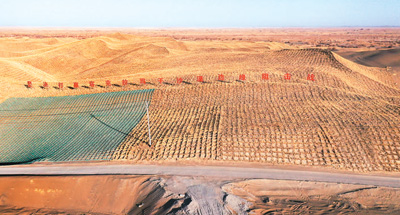 圖為新疆和田地區民豐縣的后河壩沙漠阻擊區。新華社記者 王 菲攝