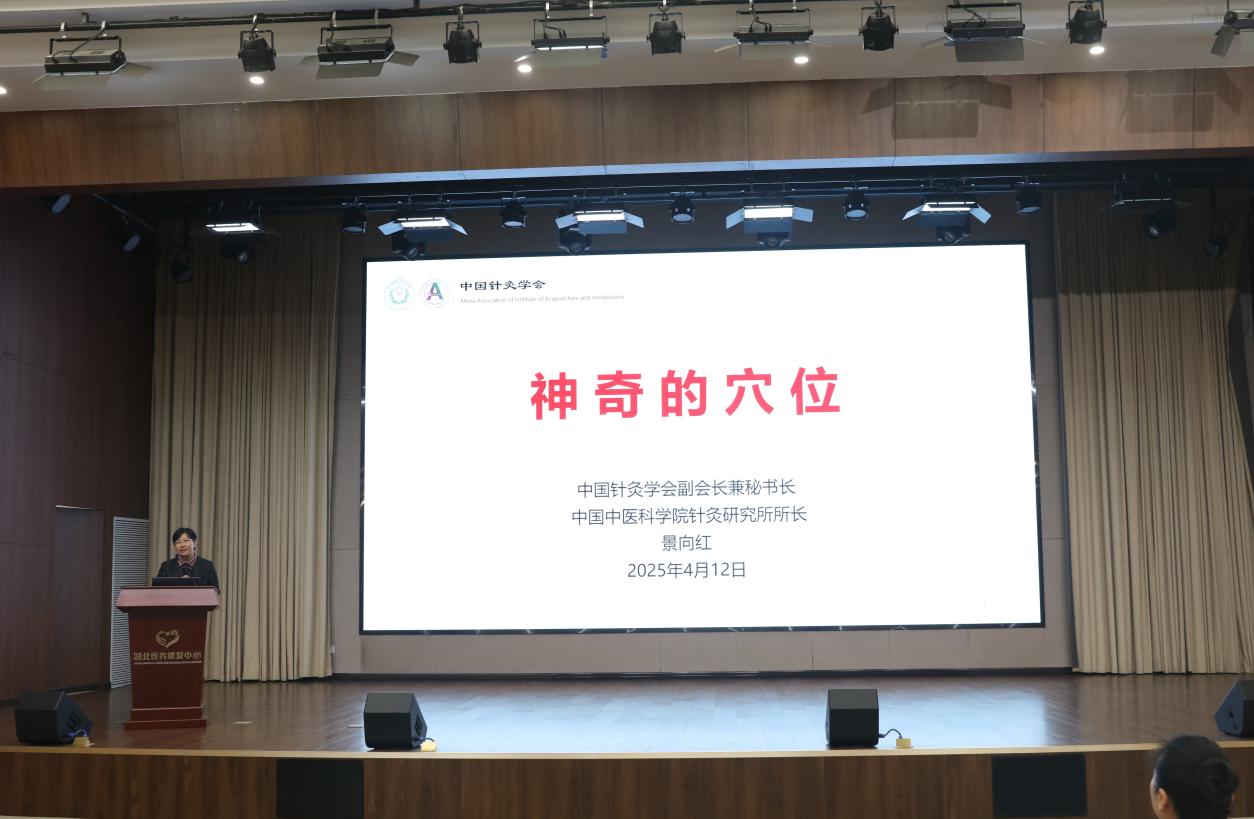中國針灸學會副會長兼秘書長景向紅作主題報告