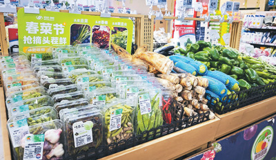 近日，在北京市朝陽區一家超市內，春菜被碼放得整整齊齊。