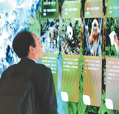 在日本大阪世博會，參觀者在中國館內參觀游覽。   新華社記者 賈浩成攝