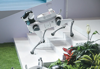 4月14日，機器狗在第五屆消博會現場演示運送藥品。 新華社記者 蒲曉旭攝