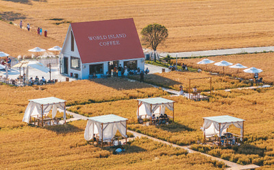 游客在湖北省襄陽市襄城區臥龍鎮屠巷村金色麥田旁的“村咖”休閑游玩。   楊??東攝（人民視覺）