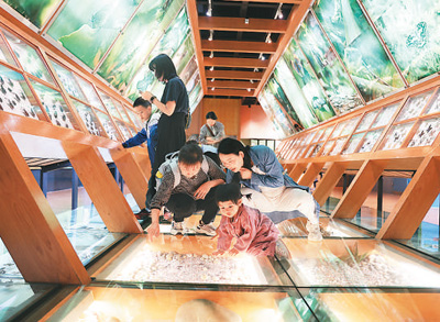 游客在昆明動物博物館參觀。   梁志強攝 新華社發