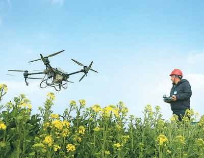 3月6日，江蘇省南通市通州區劉橋鎮無人農機示范基地，種植戶在田間操控調試植保無人機。   許叢軍攝（人民視覺）
