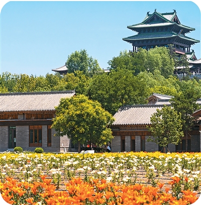 世園公園百合資源圃。