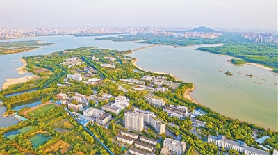 安徽省合肥市科學島。   馬二虎攝（影像中國）