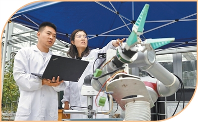 江蘇省農科院設施番茄智能化生產示范基地內，智慧農業創新團隊在調試采摘機器人。 李 博攝