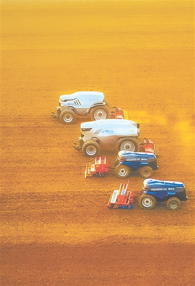 在山東省黃河三角洲農業高新區示范基地，智能農機開展翻地旋耕作業。 曾 威攝