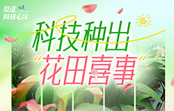 科技種出“花田喜事”從實驗室到田間地頭，從新品培育到技術推廣，從生產管理到市場拓展，科技正成為云南麗江花卉產業發展的強大引擎。
