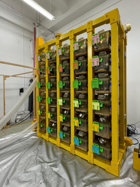 @λڿghģMbõČС61ՔzAӛ ˼ z